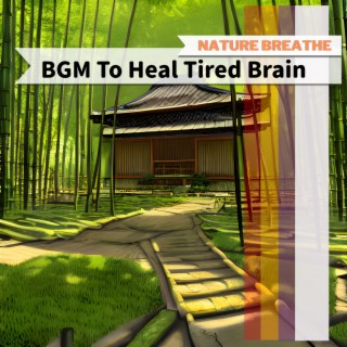 BGM To Heal Tired Brain