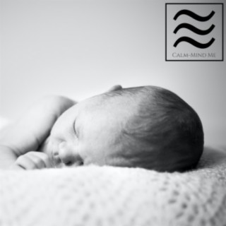 Natural Baby Sleep White Noise