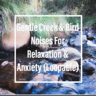 Gentle Creek & Bird Noises For Relaxation & Anxiety (Loopable)