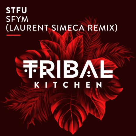 SFYM (Laurent Simeca Radio Edit Remix) | Boomplay Music