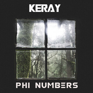 Phi Numbers