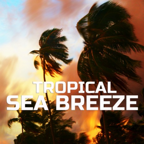 Calming Sea Breeze Sound ft. Tropical Sea Breeze, Soundscapes of Nature, The Nature Sound, Calm Beach & White Noise Therapy | Boomplay Music