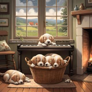 Piano Music for Sleepy Dogs