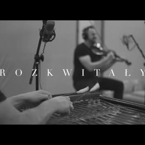 Rozkwitały pąki białych róż - Szara Piechota | Boomplay Music