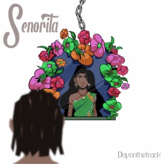 Senorita lyrics | Boomplay Music