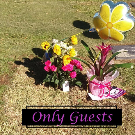 Only Guests | Boomplay Music