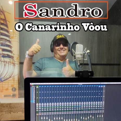 O Canarinho Voou | Boomplay Music