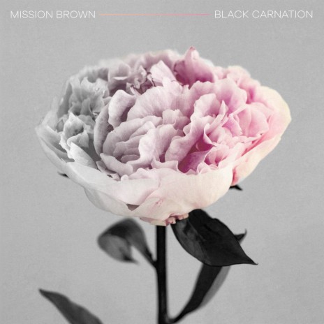 Black Carnation | Boomplay Music