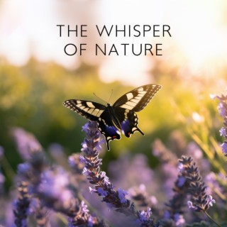 The Whisper Of Nature – Zen Garden Of Relaxation, Soothing Nature Sounds, Sweet Rain Cuddles