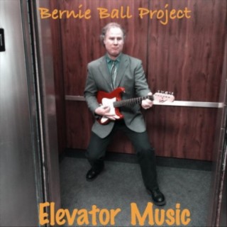 Bernie Ball Project