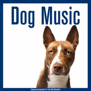 Dog Music: Calming Instrumentals for Fast Dog Relaxation