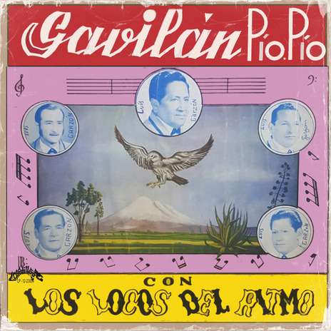 El Gavilán Pío Pío | Boomplay Music