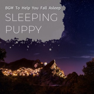 Bgm to Help You Fall Asleep