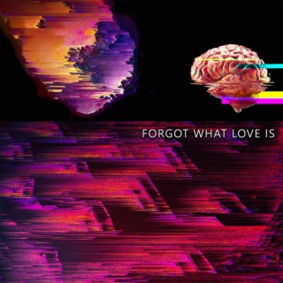 Forgot What Love Is