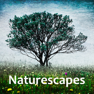 Naturescapes