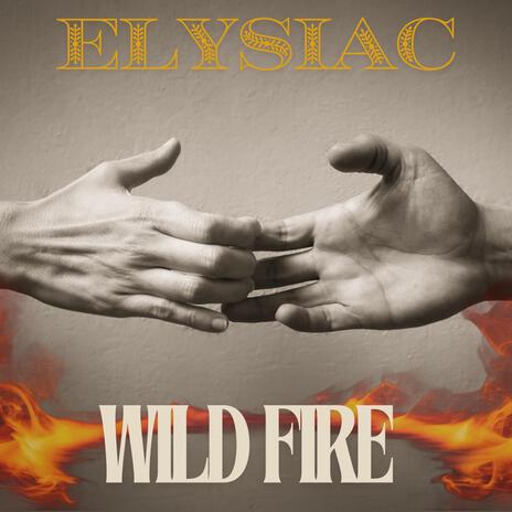 Wild Fire | Boomplay Music