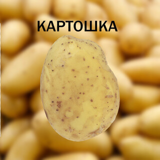 Картошка