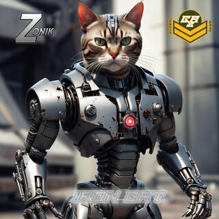 Iron CaT