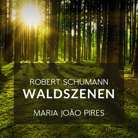 Waldszenen, Op. 82: III. Einsame Blumen | Boomplay Music