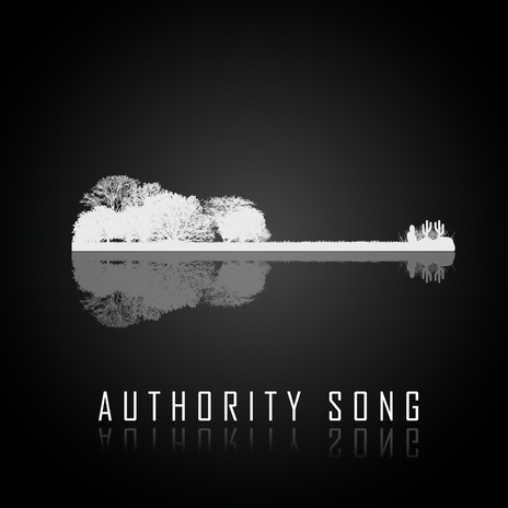 Authority Song | Boomplay Music