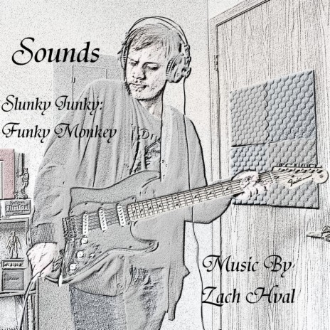 Slunky Junky: Funky, Monkey | Boomplay Music