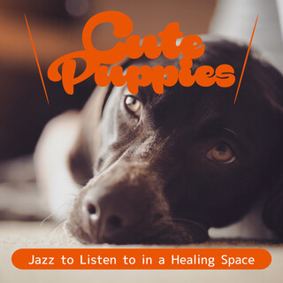 Jazz to Listen to in a Healing Space