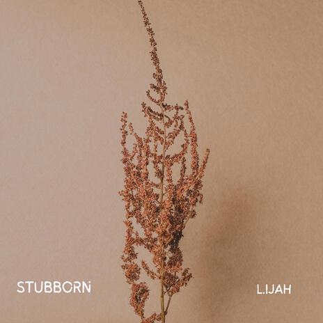 Stubborn prod.Tresgeino | Boomplay Music