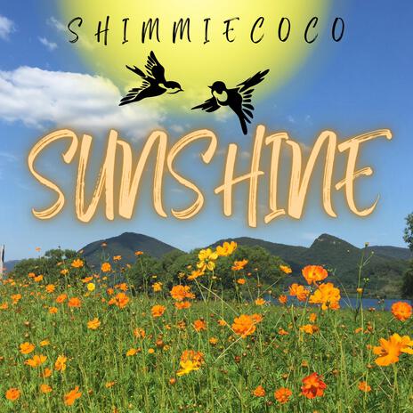 SUNSHINE | Boomplay Music