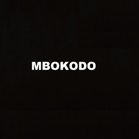 Mbokodo ft. Ronny The OG & SkandiSoul