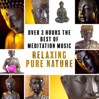 Over 3 Hours The Best of Meditation Music: Relaxing Pure Nature