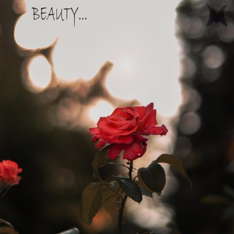 Beauty... | Boomplay Music