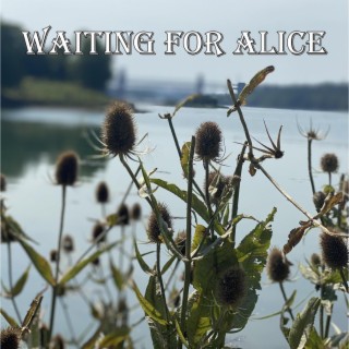 Waiting for Alice