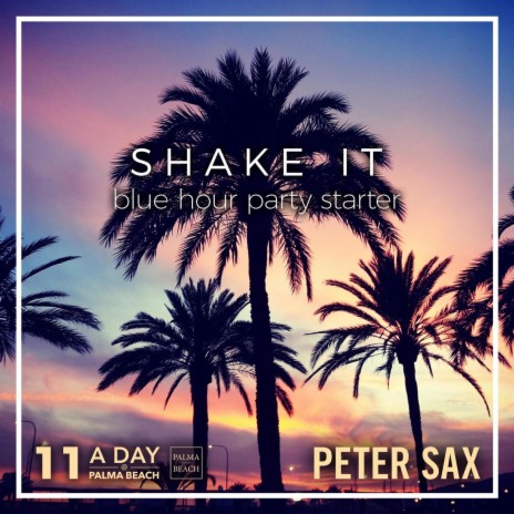 A Day @ Palma Beach 11 - Shake It (Blue Hour Party Starter) [Radio Edit] | Boomplay Music