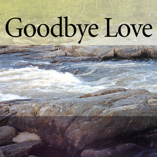 Goodbye Love