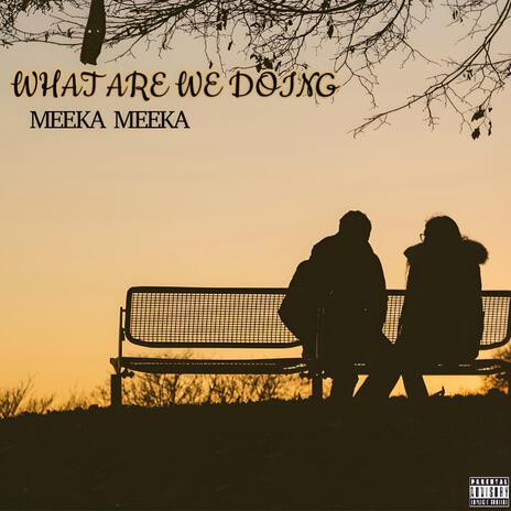 WHAT ARE WE DOING | Boomplay Music