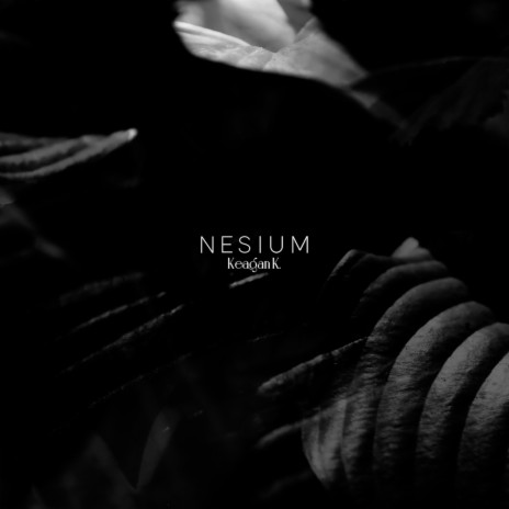 Nesium | Boomplay Music