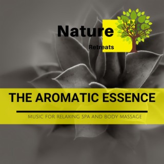 The Aromatic Essence - Music for Relaxing Spa and Body Massage