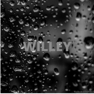 Willey