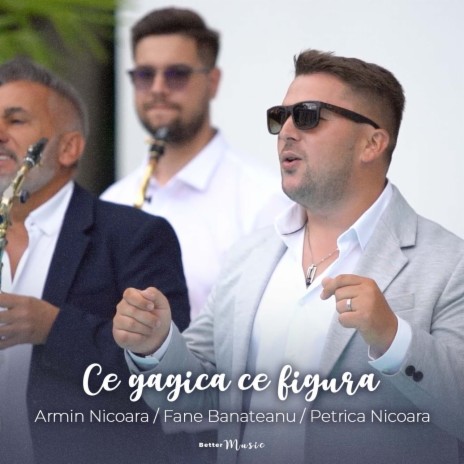 Ce Gagica Ce Figura ft. Fane Banateanu & Petrica Nicoara | Boomplay Music