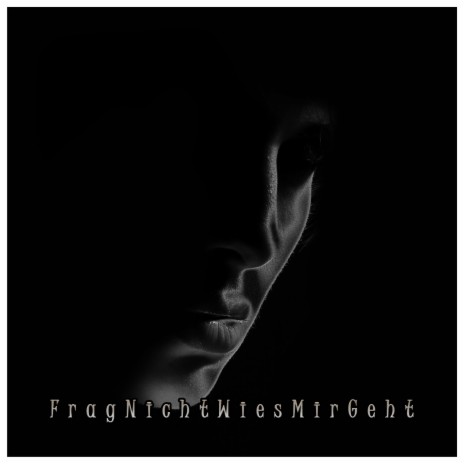 FragNichtWiesMirGeht (Instrumental Version) ft. V.I.P.N