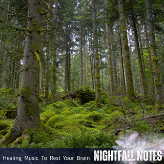 Healing Music To Rest Your Brain