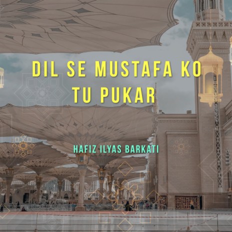Dil Se Mustafa Ko Tu Pukar | Boomplay Music