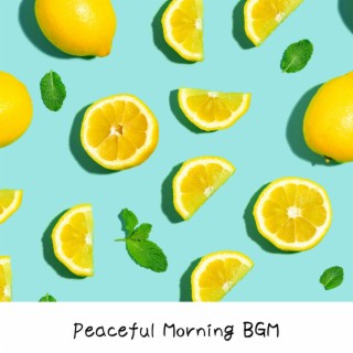 Peaceful Morning BGM