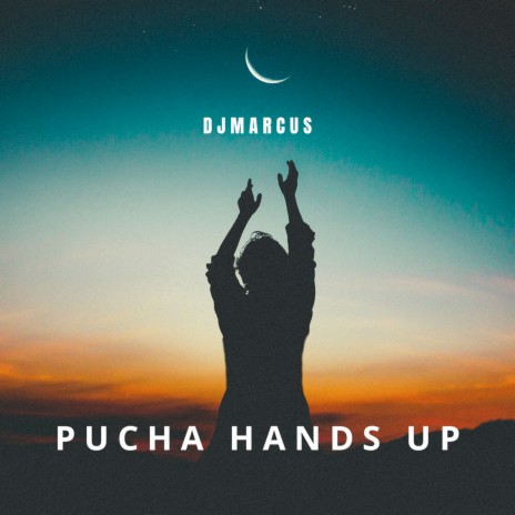 Pucha Hands Up (Instrumental Mix) | Boomplay Music