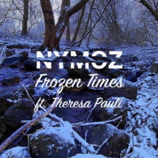 Frozen Times