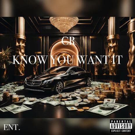 Know You Want It (open verse) | Boomplay Music