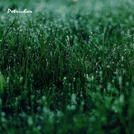 Petrichor