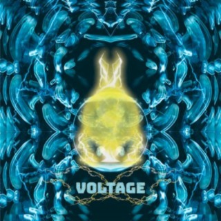 Voltage