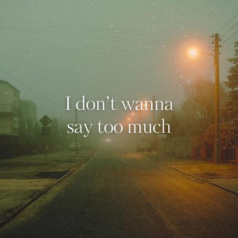 I don't wanna say too much | Boomplay Music