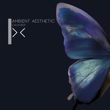 Ambient Aesthetic | Boomplay Music